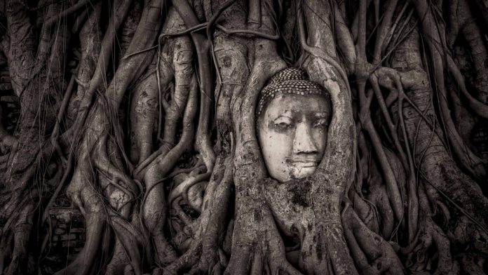 buddha-head-in-tree-roots-wat-mahathat-ayutthaya-thailand-uhd-4k-wallpaper