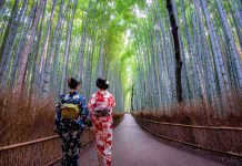 Kyoto 2 day itinerary blog — How to spend 48 hours & what to do in Kyoto in 2 days? kyoto Arashiyama