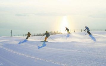 Biwako Valley review — The white snow paradise you definitely must-go in Southern Japan