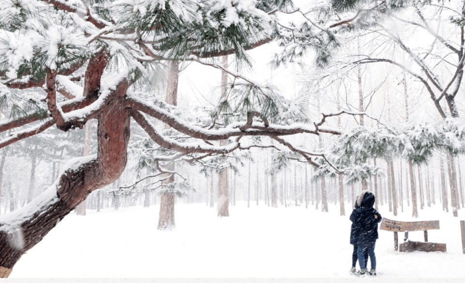 Gangwon skiing