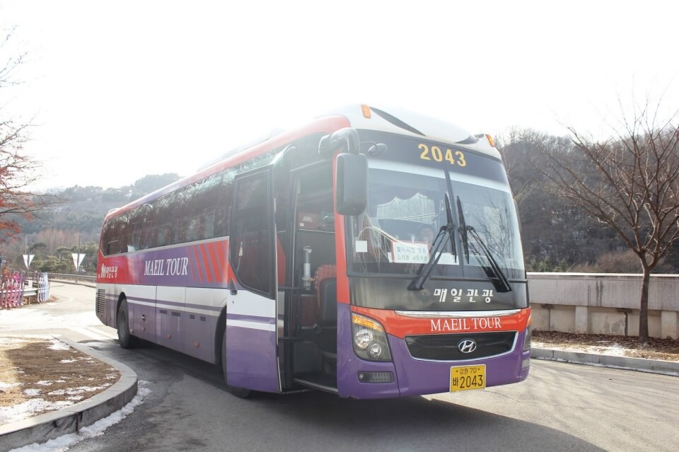 Gangwon skiing