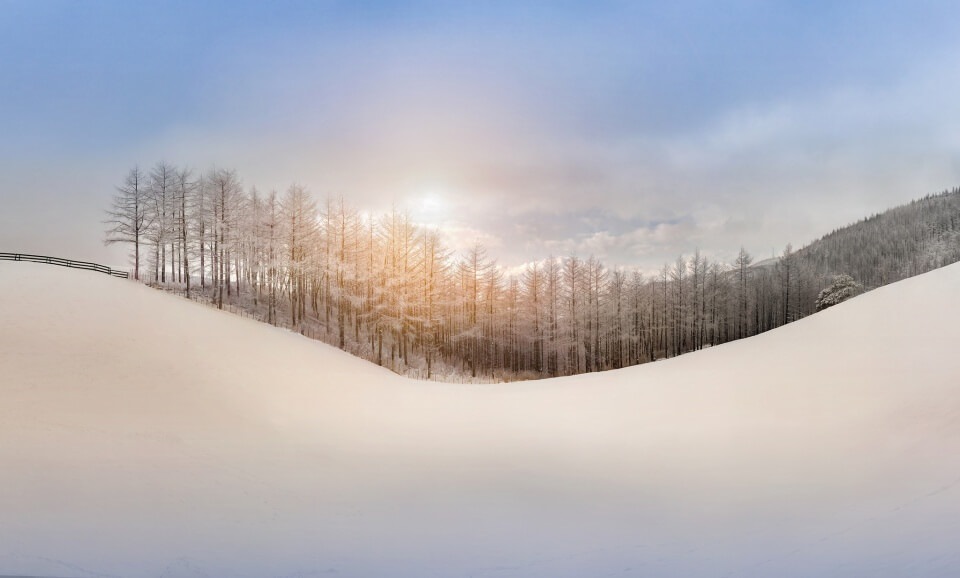 Gangwon skiing