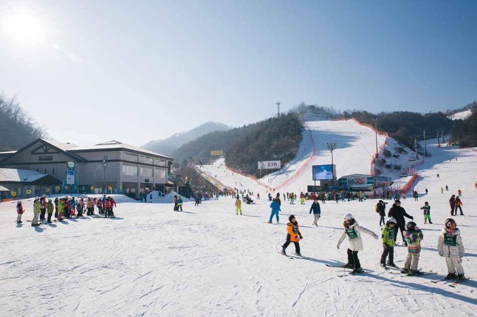 Gangwon skiing