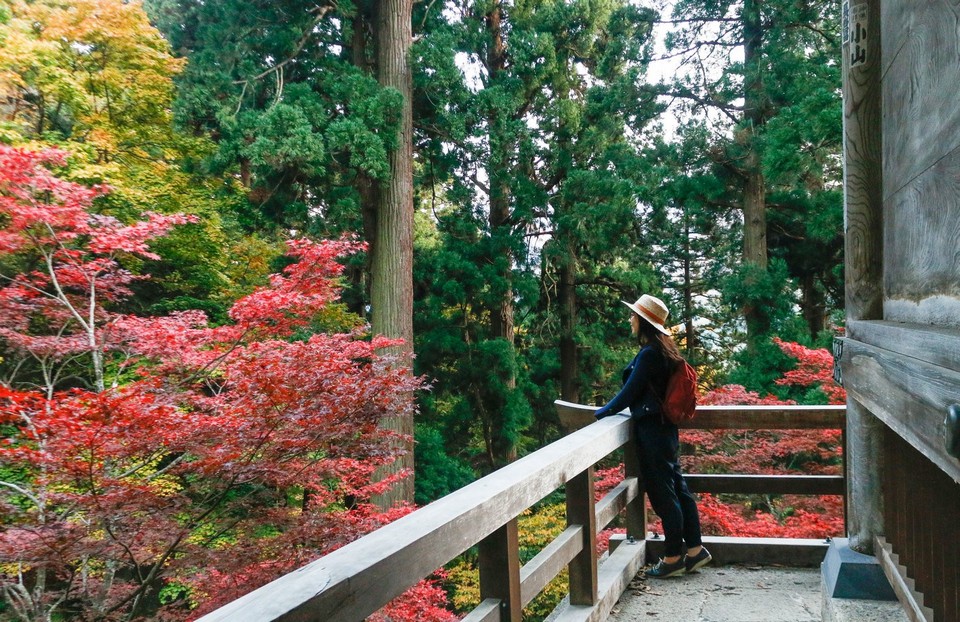 Red leaves in Yamagata