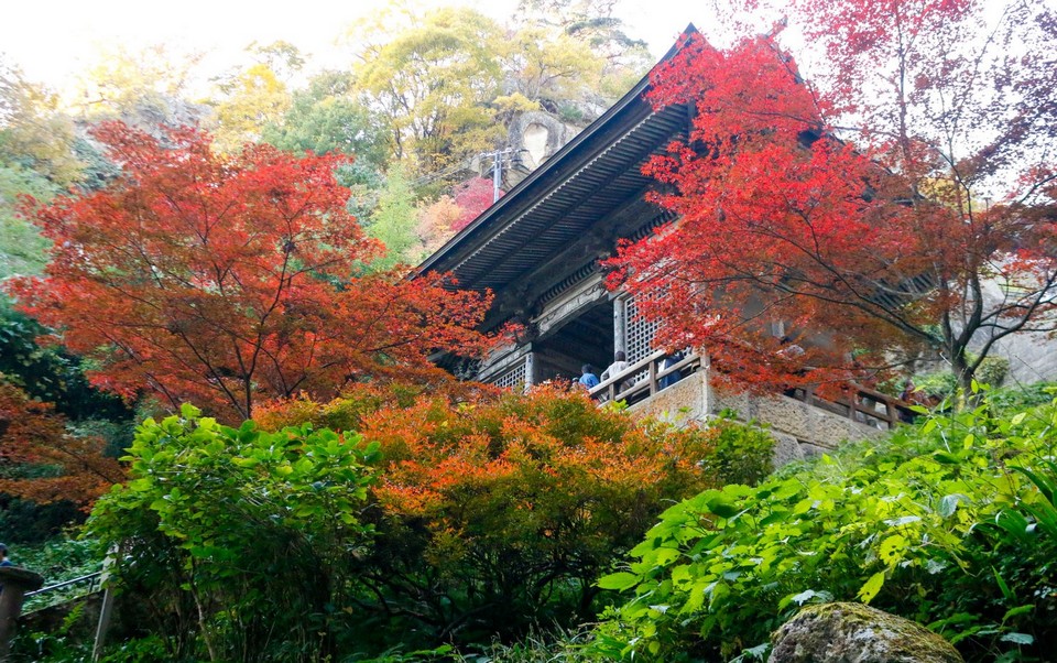 yamagata-leaves-turn-to-red