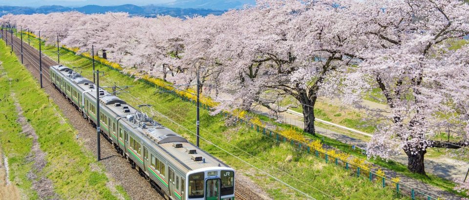japan public transport