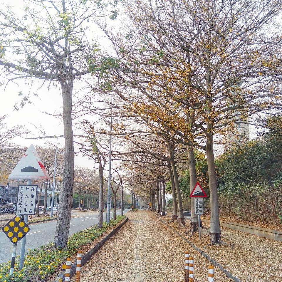 chiayi