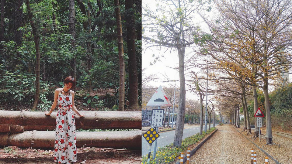 chiayi