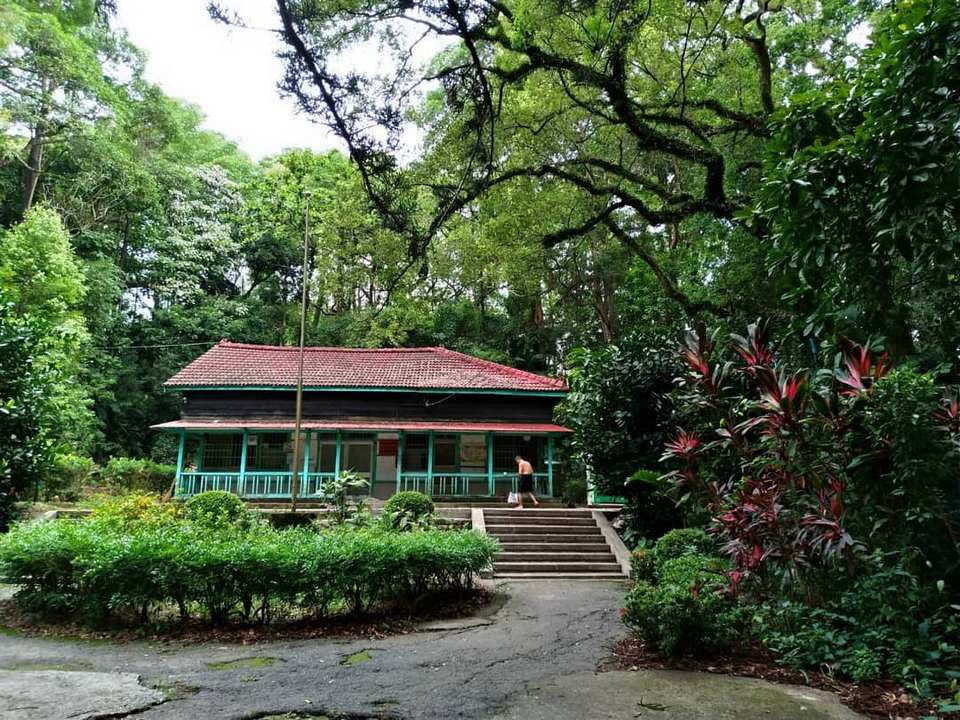 chiayi