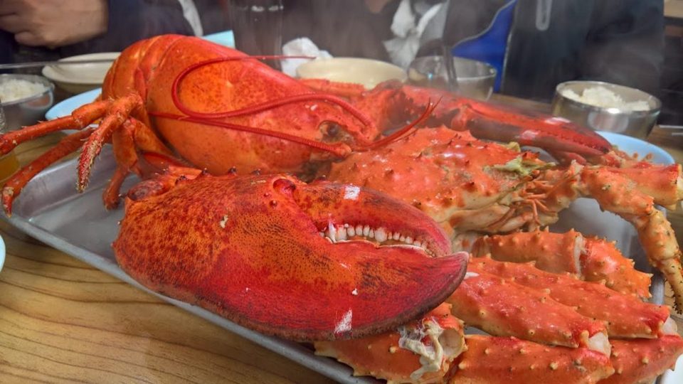 A King Crab 1,4kg on the plate