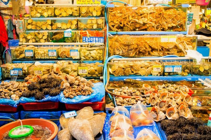 Many species of live shellfish