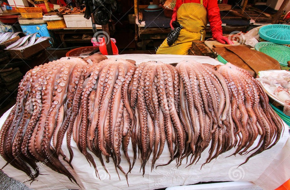 Giant Octopus