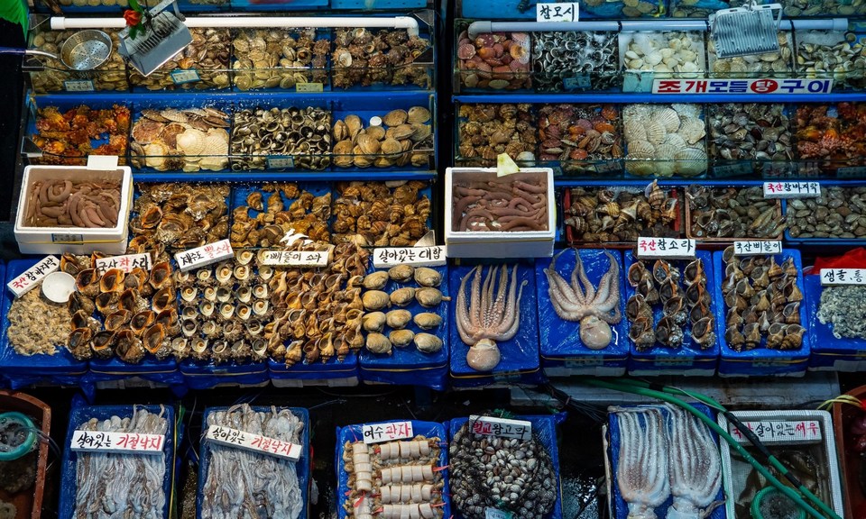 Live seafood for sale