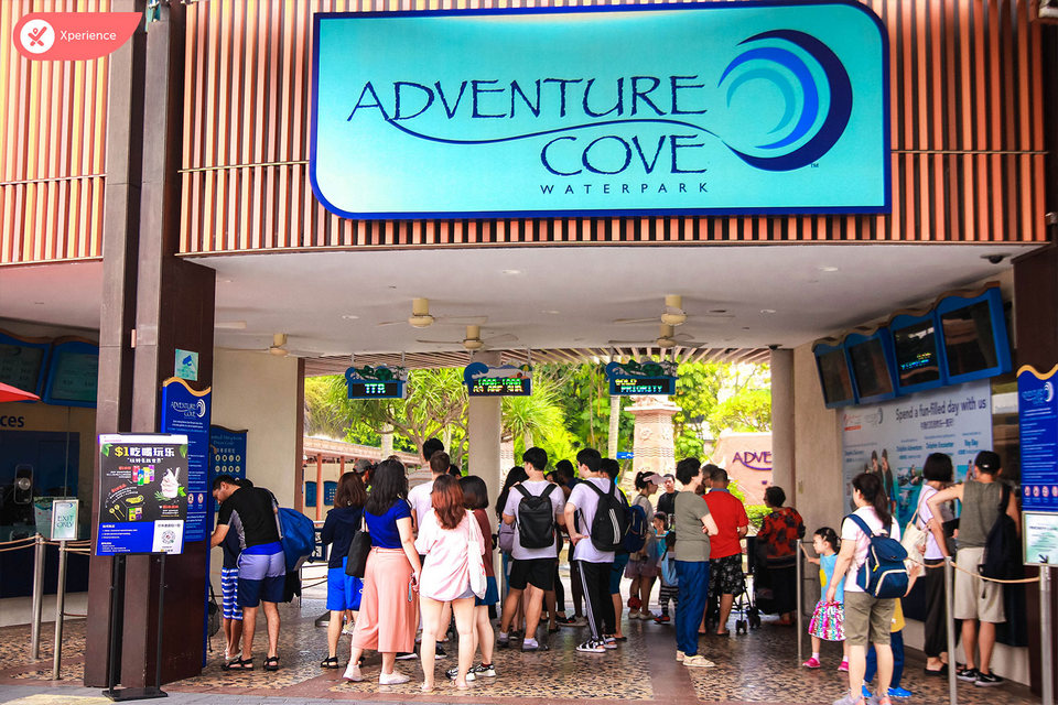 | What's Adventure Cove price