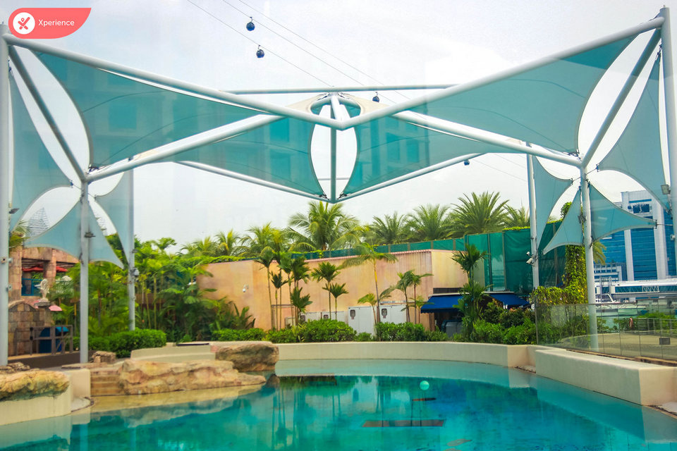 Adventure Cove