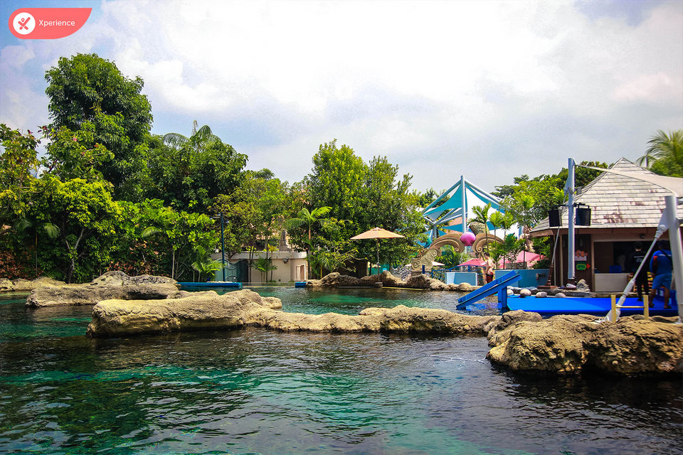 Rainbow Reef