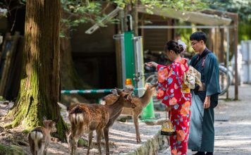 Japan itinerary 9 days — How to spend 9 days in Japan to visit: Osaka – Kobe – Kyoto – Nara?