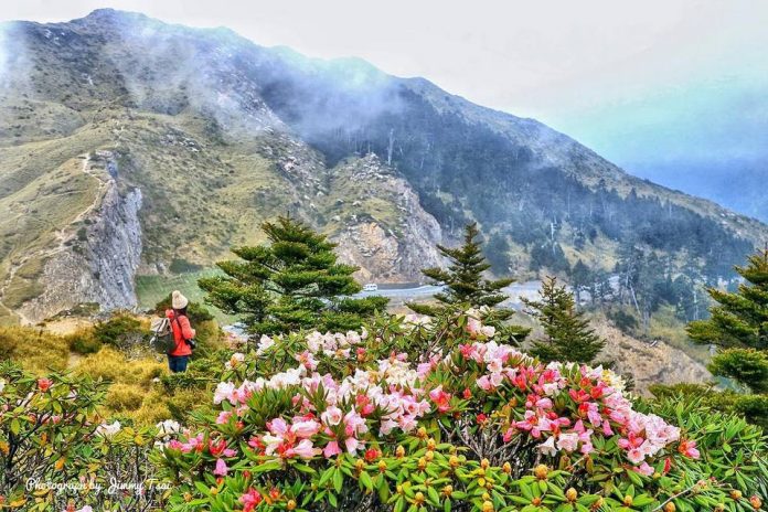 Colorful Hualien Colorful Hualien