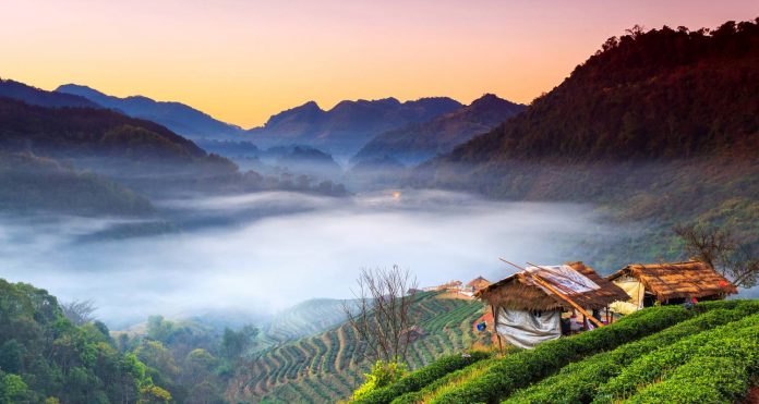northern thailand travel blog