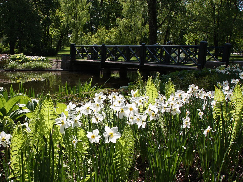 Windmills and Slottsparken Park (3)