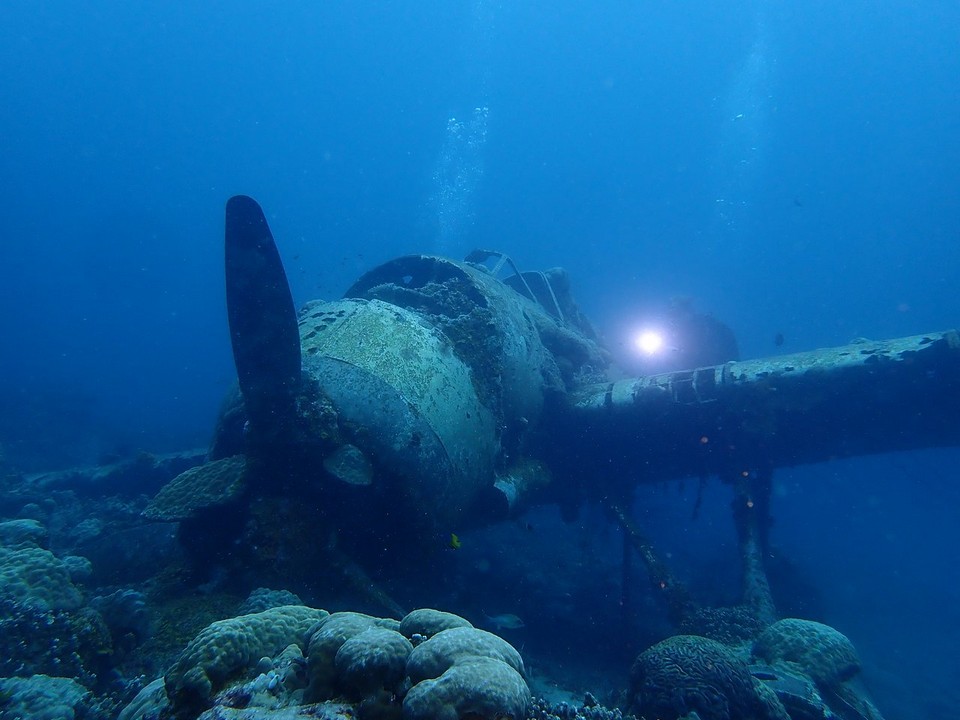 Fish’n Fins diving center palau (3)