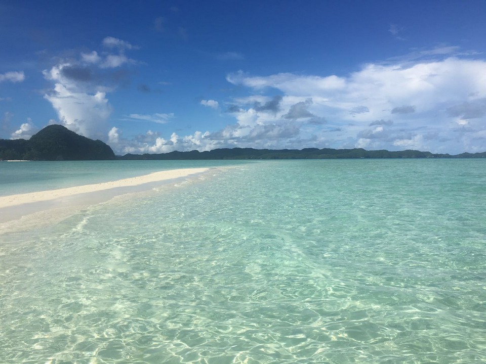 Long Beach palau (4)