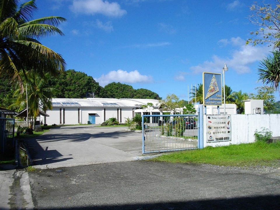 Marine ecosystems palau (1)