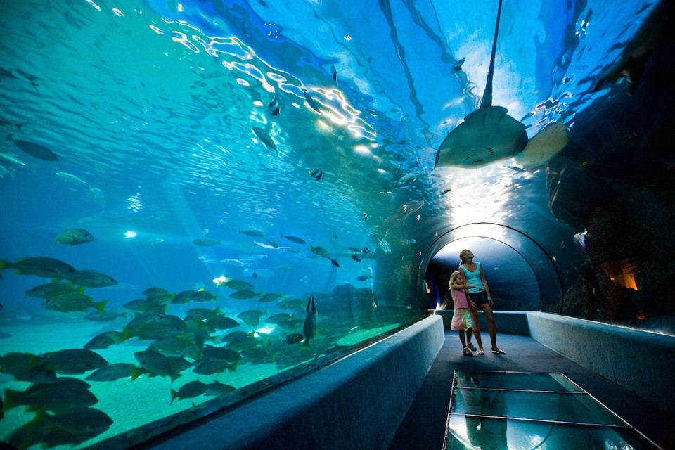 Maui Ocean Center (The Aquarium of Hawaii) (1)