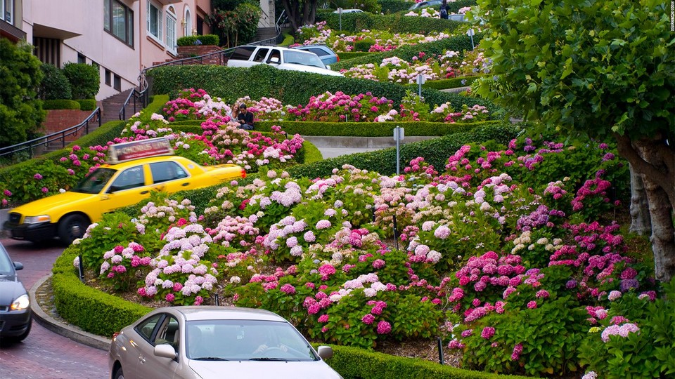 lombard-street-san-francisco-full-169