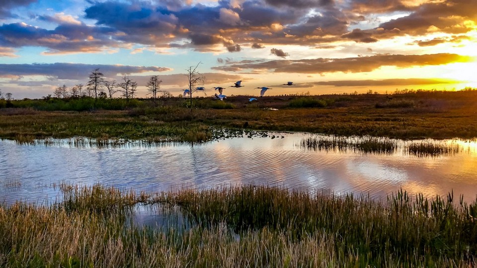 Everglades National Park3