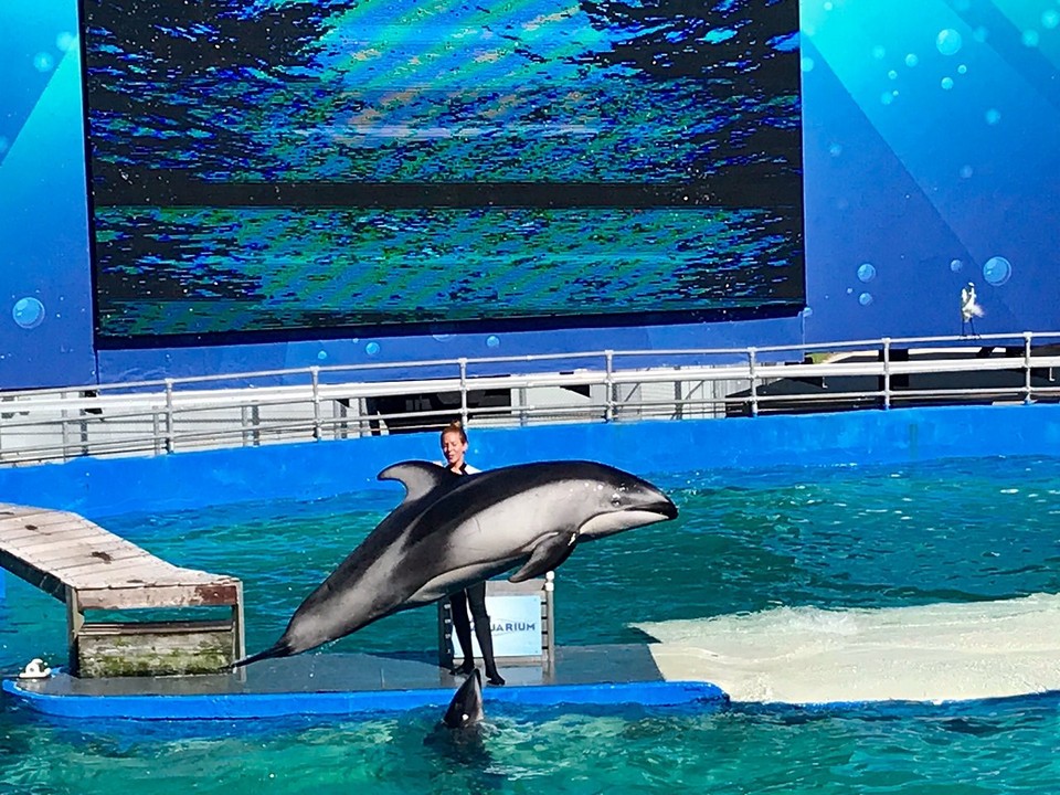 miami-seaquarium