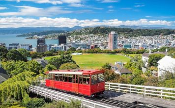 Wellington travel blog — The fullest Wellington travel guide for a great budget trip for first-timers