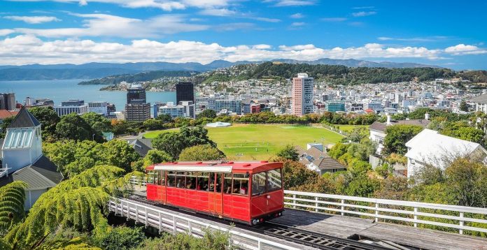 wellington blog