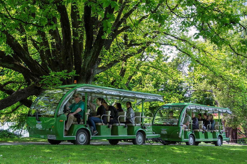 Shuttle-under-trees