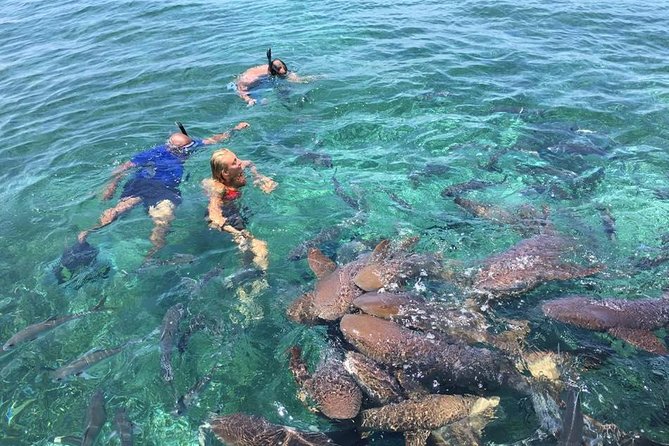 | belize travel guide
