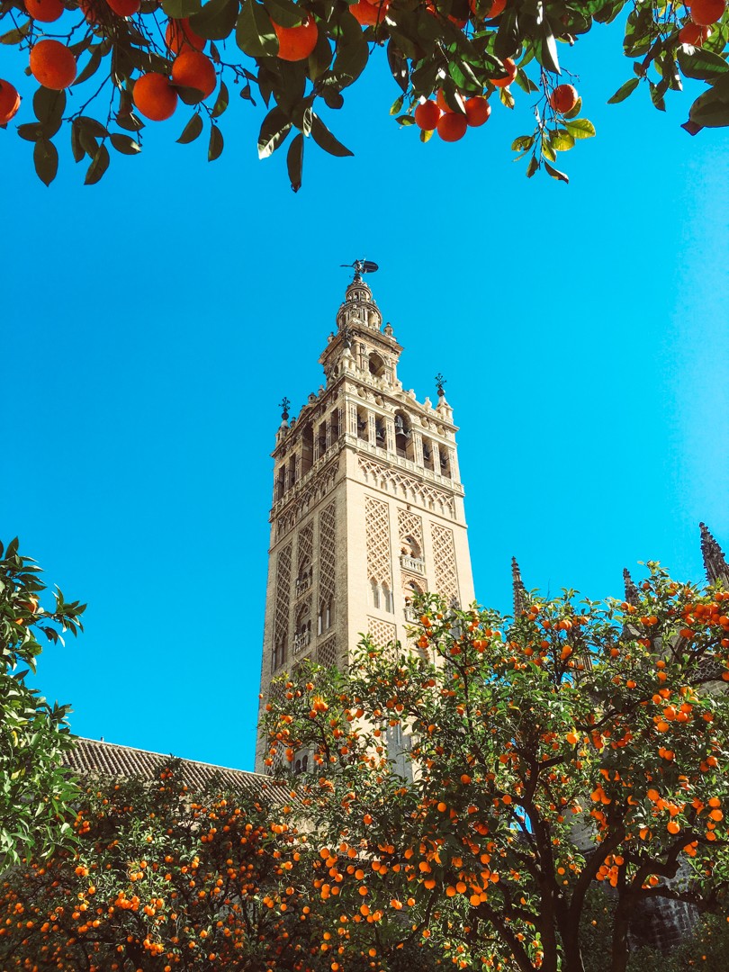 Seville Cathedral