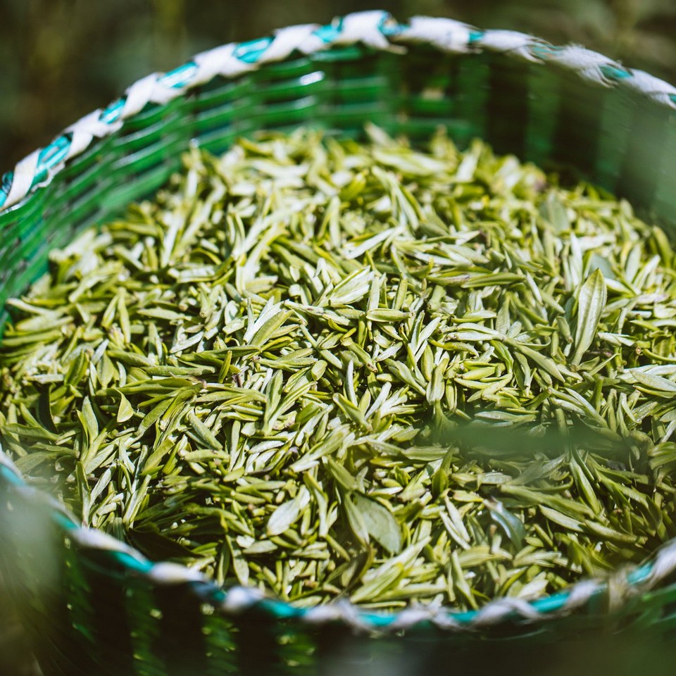 Biluochun tea suzhou