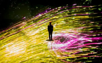 The detailed Guide for Visiting teamlab Borderless Tokyo Azabudai Hills
