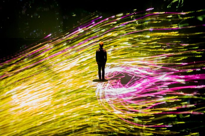 mori building digital art museum teamlab borderless tokyo (11)