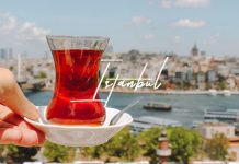 How to spend 12 hour layover in Istanbul perfectly?