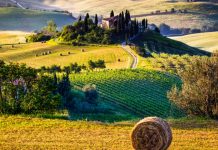 Tuscany travel blog — The fullest Tuscany travel guide for first-timers