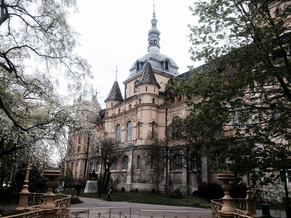 Vajdahunyad Castle budapest hungary (7)