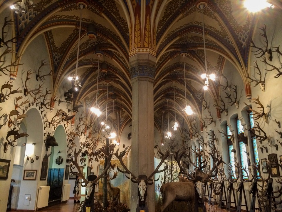 Vajdahunyad Castle budapest hungary (8)