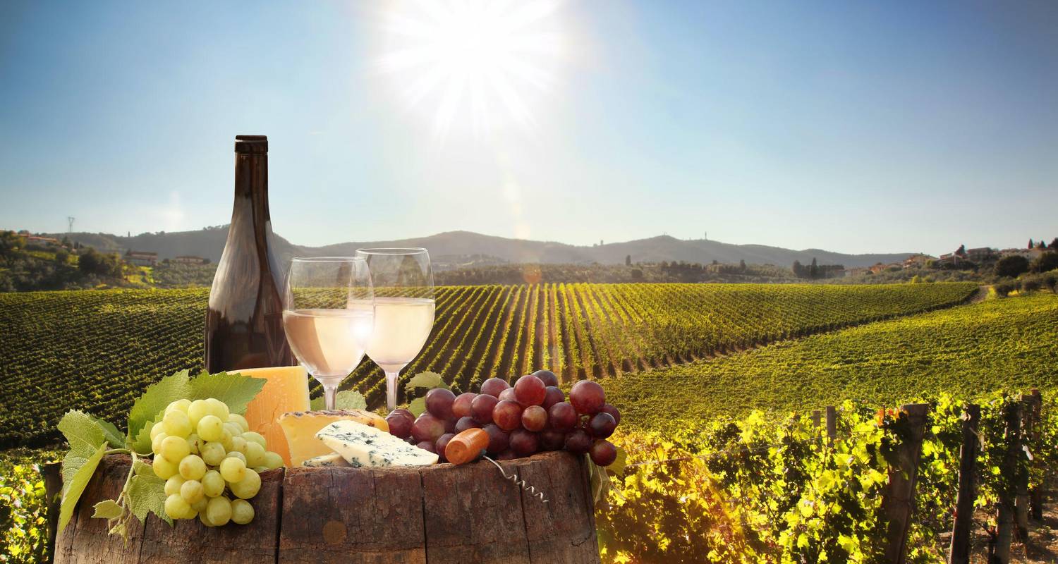 cape town wine tour