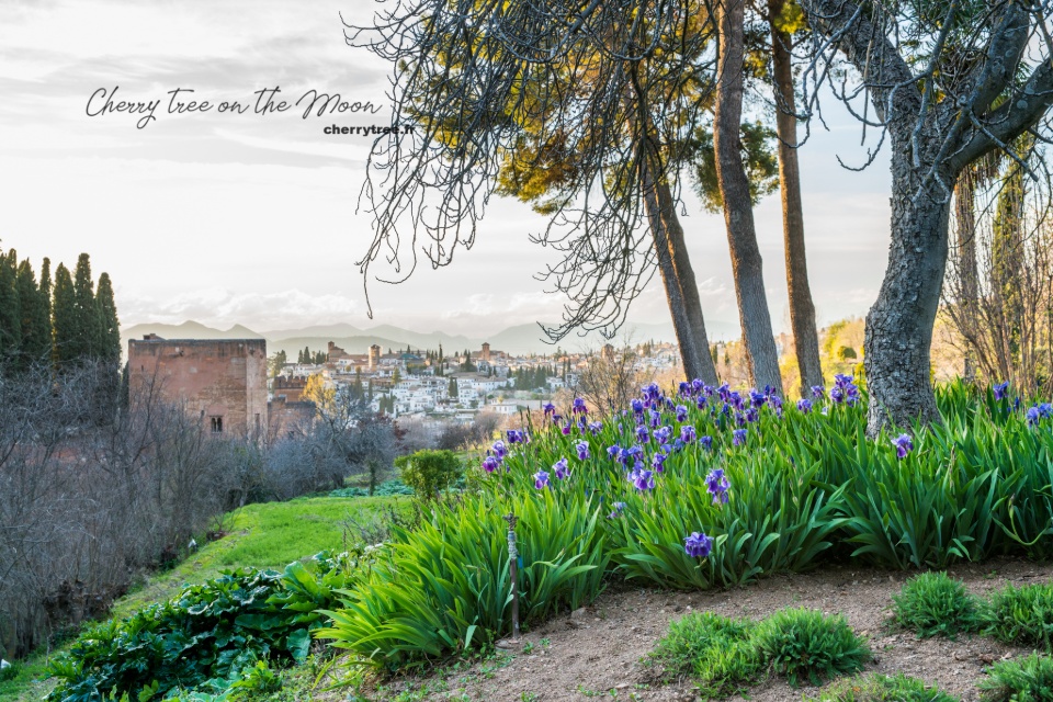granada andalusia spain7