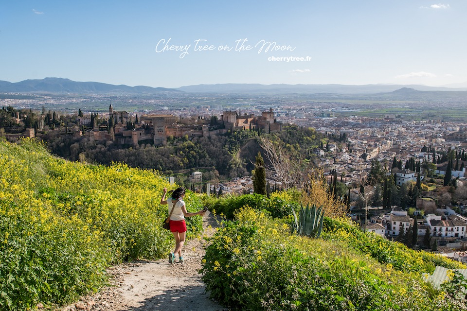 granada guide andalusia spain14