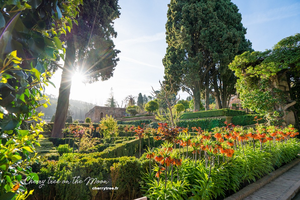 granada guide andalusia spain20