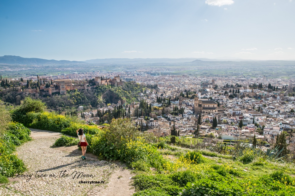 granada andalusia spain12