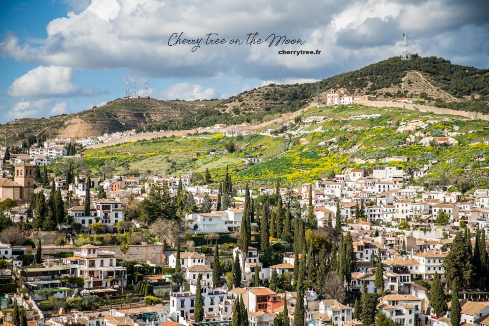 granada andalusia spain4