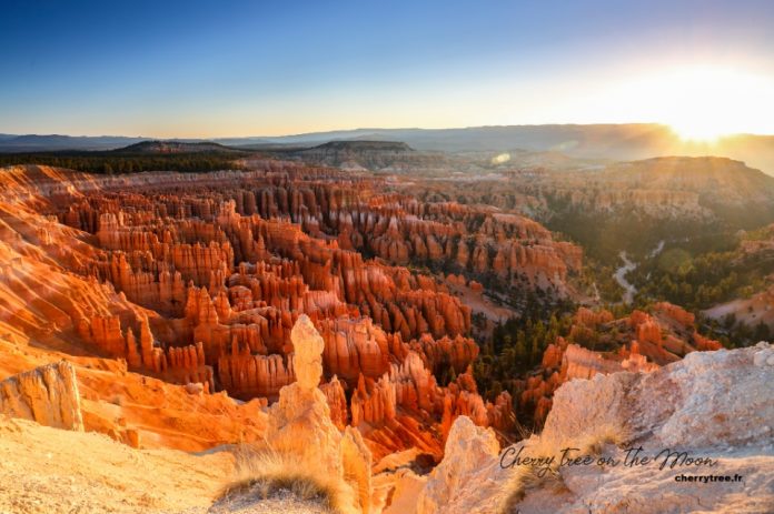 bryce national park usa4